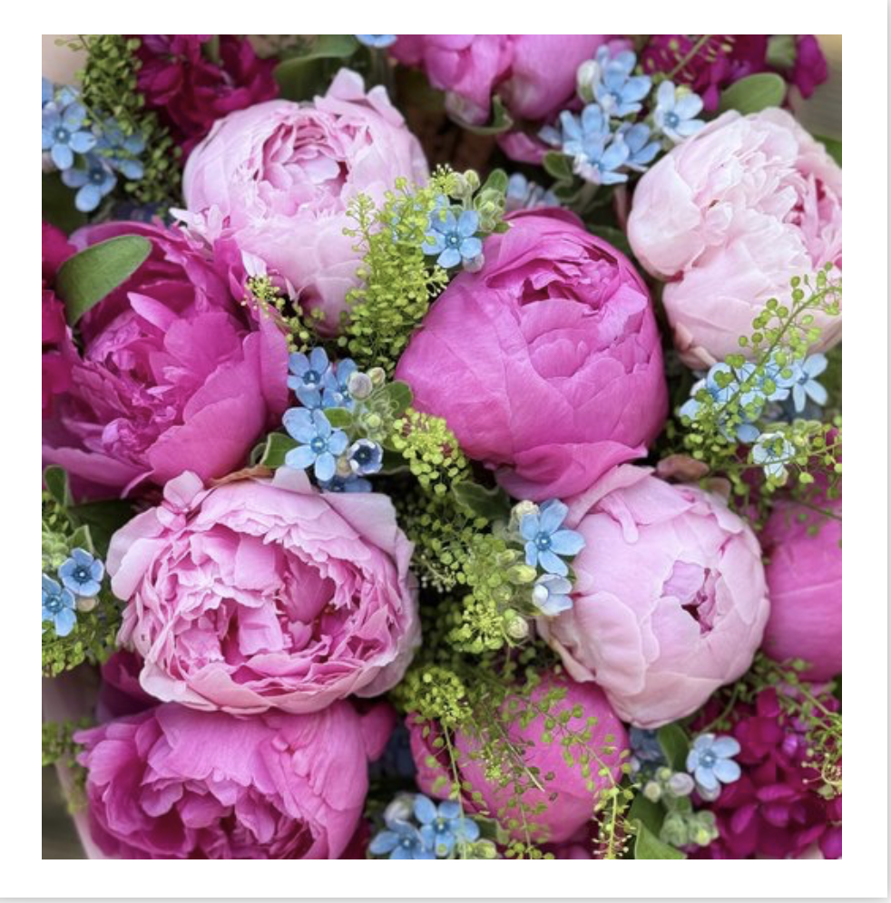 Õnnitluskaart PEONY